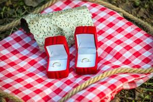 deux mariage anneaux sur une Naturel Contexte photo