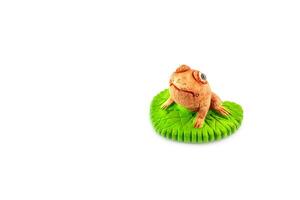 vert grenouille jouet sur blanc photo