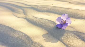 une nettoyer composition représentant une seul, vibrante coloré fleur épanouissement au milieu de une vaste étendue désert le sable photo