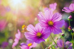 vibrant fleurs épanouissement dans jardin, trempage en haut le été ensoleillement photo