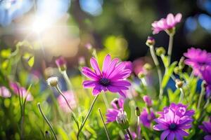 vibrant fleurs épanouissement dans jardin, trempage en haut le été ensoleillement photo