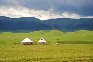 vert champ et gros des nuages - paysage photo