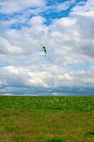 une homme en volant le sien cerf-volant à le steppe photo