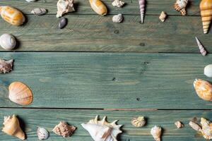 variété de mer coquilles sur une en bois Contexte photo