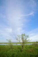 petit Lac dans printemps steppe photo