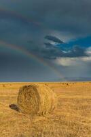 rural paysage, champ après le récolte à lever du soleil. photo