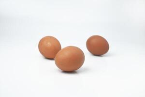 Trois poulet des œufs sont sur une blanc Contexte photo