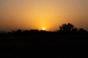 bienheureux paysage photo de le coucher du soleil dans le forêt