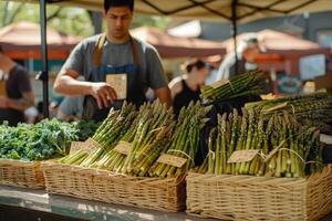 biologique asperges sur le marché. photo