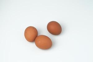 Trois poulet des œufs sont sur une blanc Contexte photo