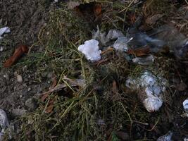 déchets cette pouvez dommage le environnement est souvent a trouvé dans Urbain zones avec pauvres déchets la gestion photo