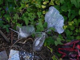 déchets cette pouvez dommage le environnement est souvent a trouvé dans Urbain zones avec pauvres déchets la gestion photo