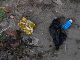 déchets cette pouvez dommage le environnement est souvent a trouvé dans Urbain zones avec pauvres déchets la gestion photo