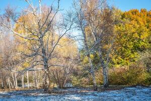 l'automne parc après le premier neige dans octobre photo