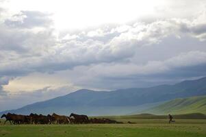 assy vallée, Almaty Région photo