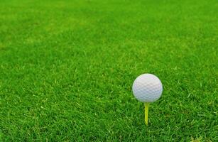 Jeu dans le le golf club contre le Contexte de le vert juteux herbe photo