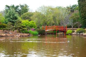 Japonais jardin avec pont photo