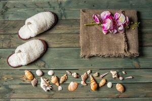 variété de mer coquilles sur une en bois Contexte photo