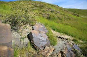 pétroglyphes dans le archéologique paysage de Tamgaly. Almaty zone, kazakhstan photo