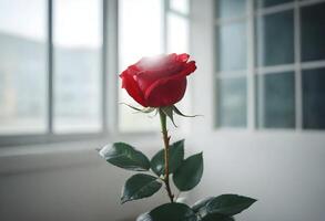 fermer de une rouge Rose avec vert feuilles, contre un flou Contexte de une pièce avec grand les fenêtres photo
