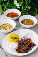 assorti traditionnel soupes et grillé Viande plat sur blanc table photo