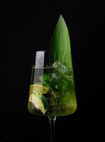 exotique cocktail avec citron vert et vert la glace photo