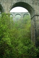 vieux romain aqueduc dans la nature photo