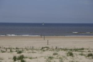 le plage à campeurduin, le Pays-Bas photo