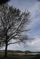 l'automne couleurs dans le parc, Pays-Bas photo