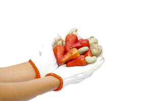 isolé pile de mûr anacardier des noisettes dans ganté pratique blanc Contexte. le fruit est rouge et à le fin de le fruit est une la graine en forme de comme une rein. photo