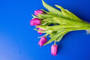 fleurs tulipes rose avec brillant vert tiges et feuilles sur une bleu Contexte. photo