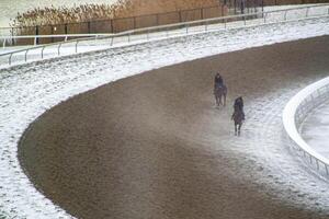 course cheval avec jockeys sur le Accueil droit. rasage effet. photo