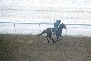 course cheval avec jockeys sur le Accueil droit. rasage effet. photo