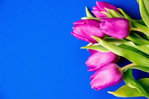 fleurs tulipes rose avec brillant vert tiges et feuilles sur une bleu Contexte. photo