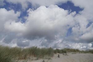 chemin par le dunes, village caresser à le Nord mer, le Pays-Bas, photo