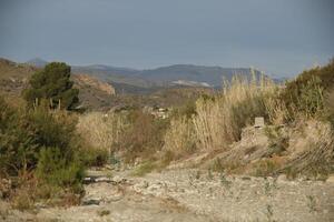 en marchant chemin dans le almanzora vallée, alméria, andalousie, Espagne photo