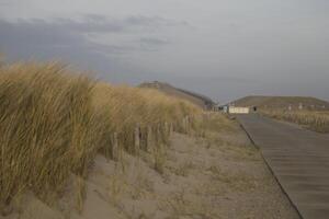 chemin dans le dunes, Pays-Bas photo