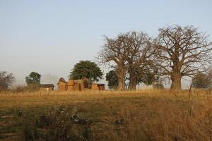 tata somba villages dans le Nord de Bénin photo