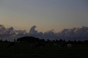 le coucher du soleil dans le Pays-Bas, des nuages, couleurs photo