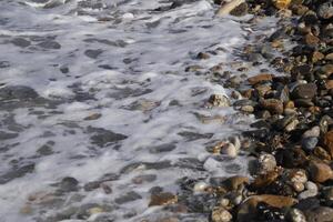 mer, mousse, eau, cailloux, vagues, plage photo