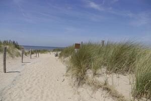 chemin dans le dunes pistes à le plage, Nord mer, Pays-Bas, camping-car photo