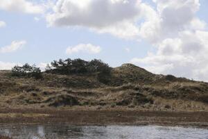 marécages, peu profond des lacs dans le dunes, Vlieland, le Pays-Bas photo