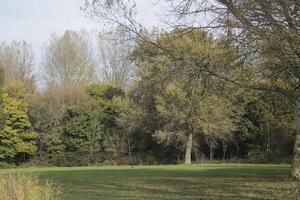 l'automne couleurs dans le parc, Pays-Bas photo