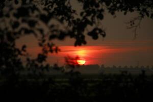 le coucher du soleil dans le Pays-Bas, des nuages, couleurs photo