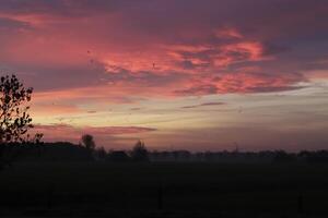 nuageux lever du soleil dans le Pays-Bas photo