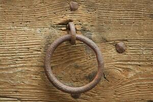 bague à sécurise les chevaux photo