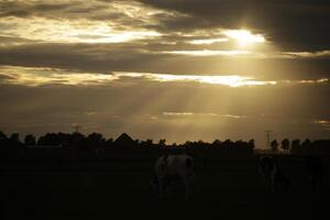 le coucher du soleil dans le Pays-Bas, des nuages, couleurs photo