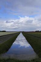 réflexion dans le canal, Pays-Bas photo