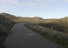 chemin dans le dunes, Pays-Bas photo