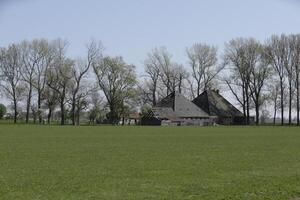 néerlandais paysage, Pays-Bas dans le printemps photo